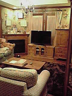 手持ちの家具と色見があったテレビボード